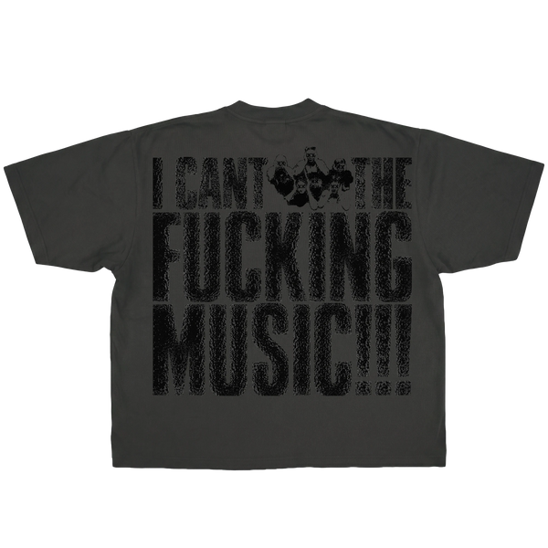 Can't Hear The Music