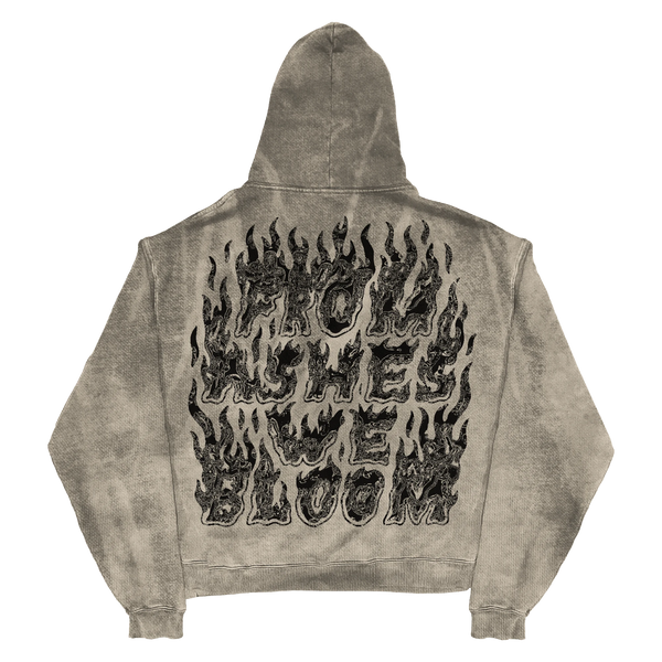 Ashes Flames