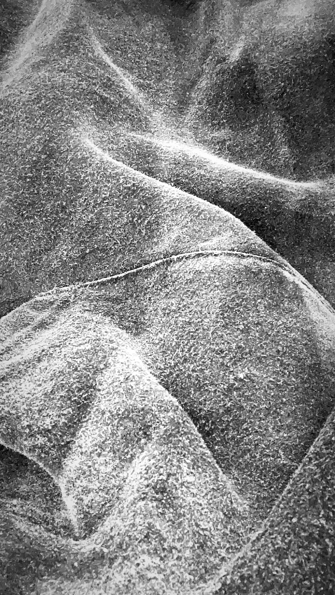 TEXTURED HOODIE