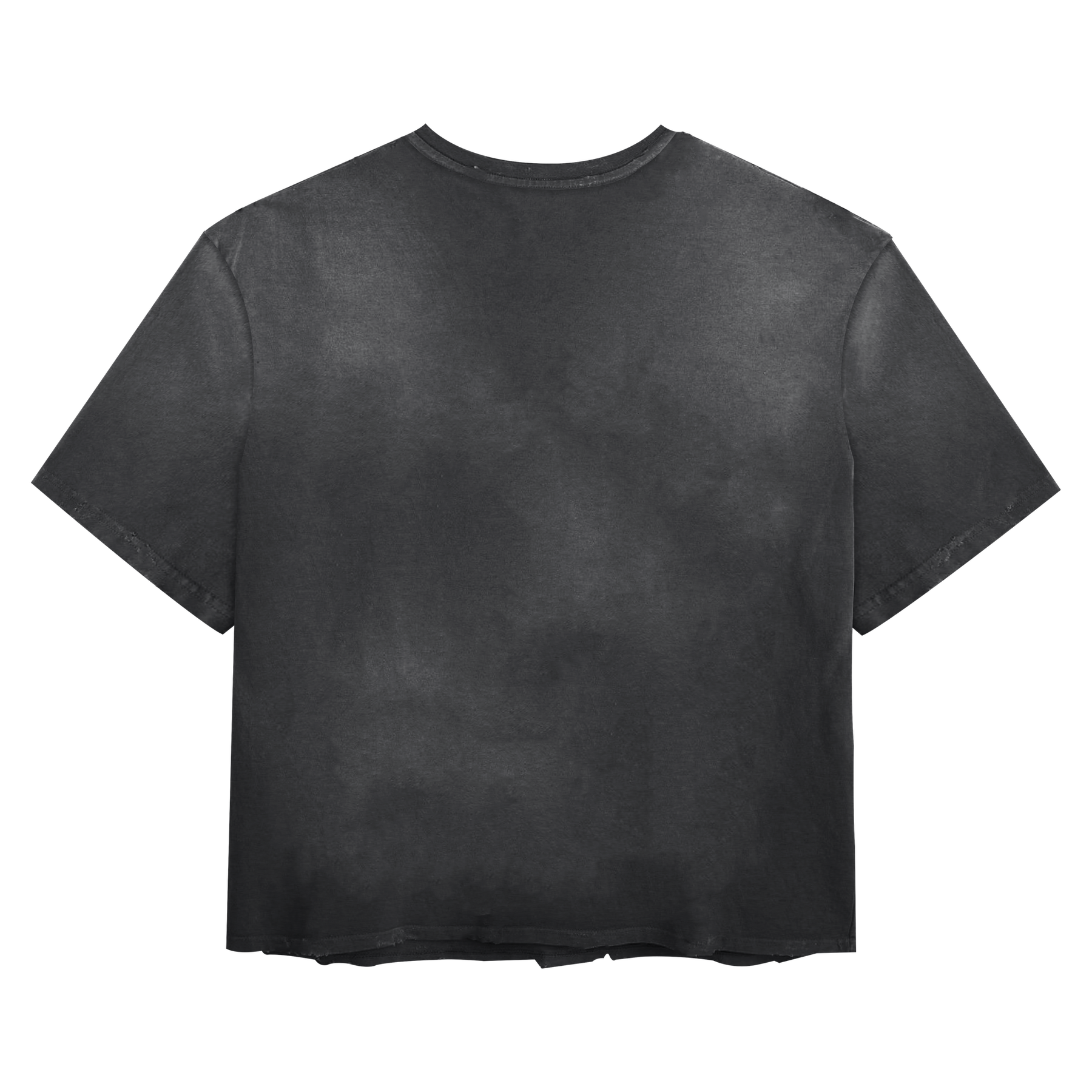 Blank Tee - Black - Back