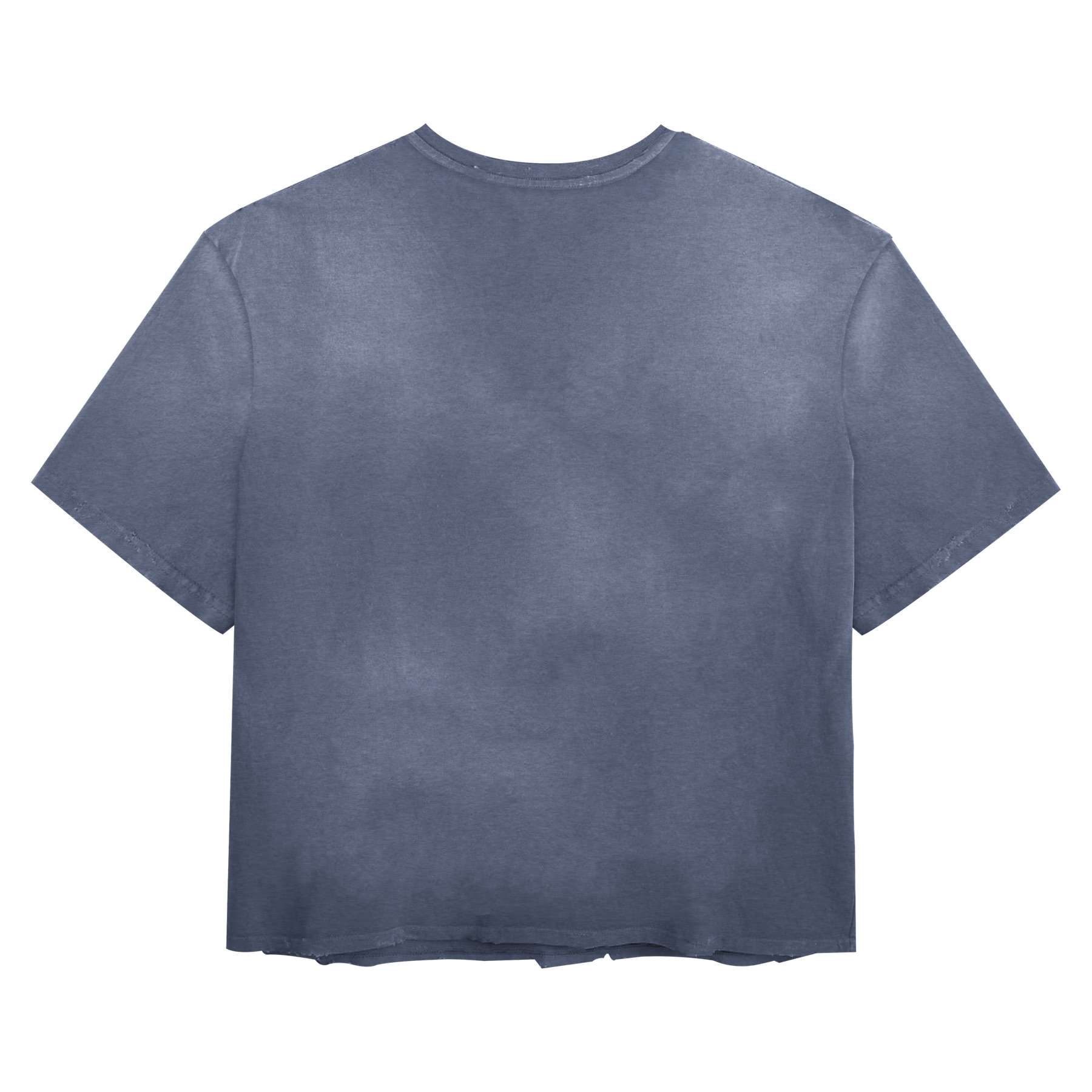 Blank Tee - Blue - Back