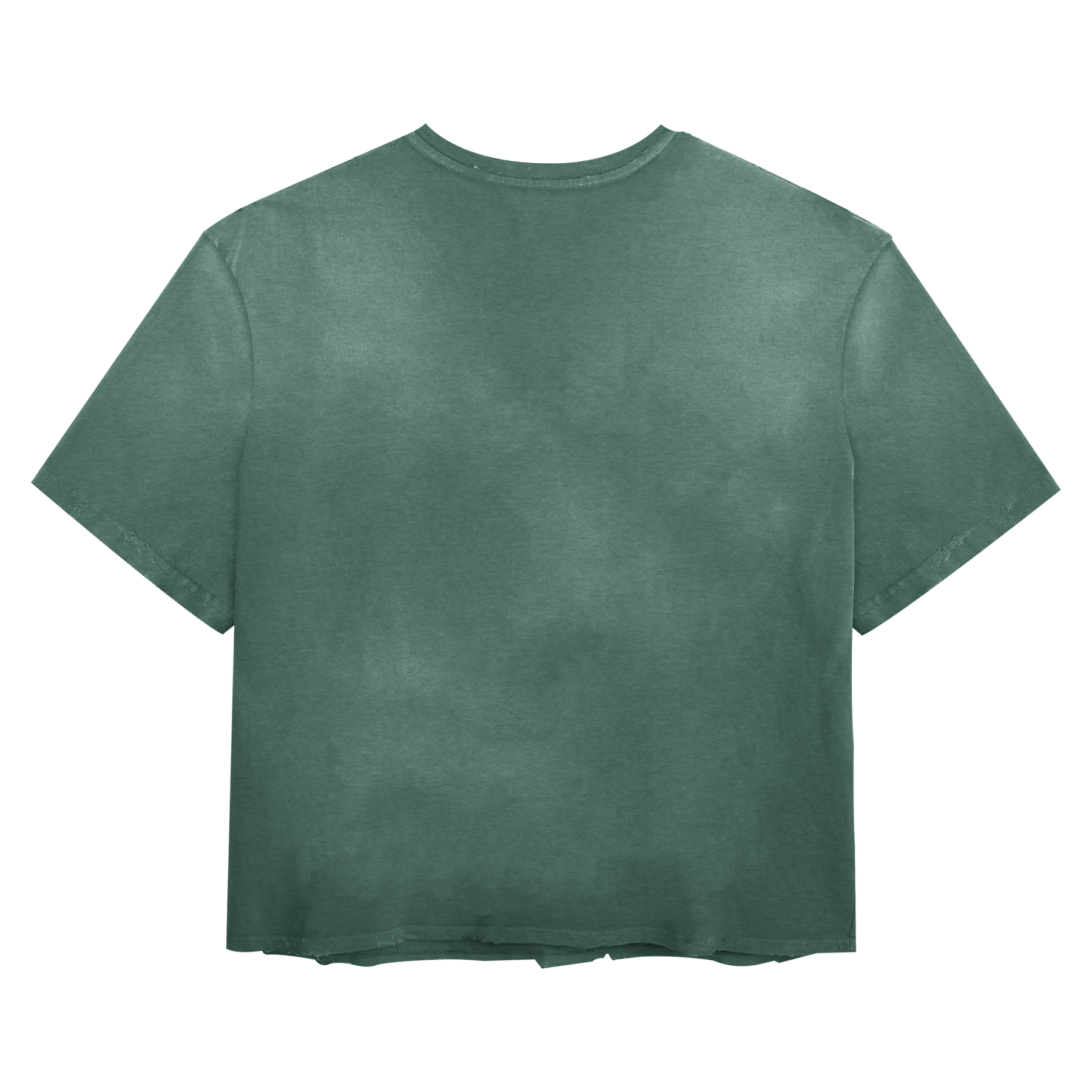Blank Tee - Green - Back