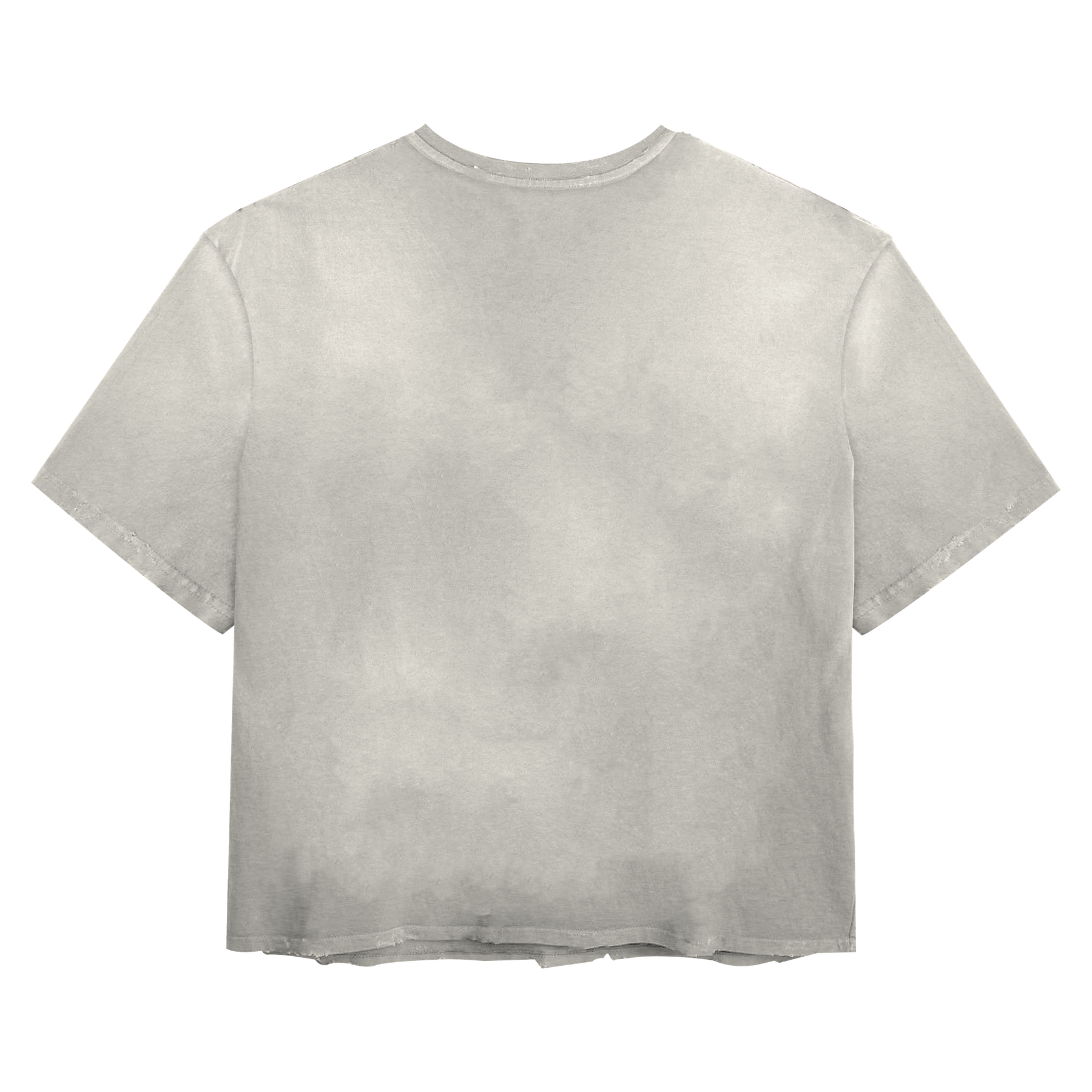 Blank Tee - White - Back
