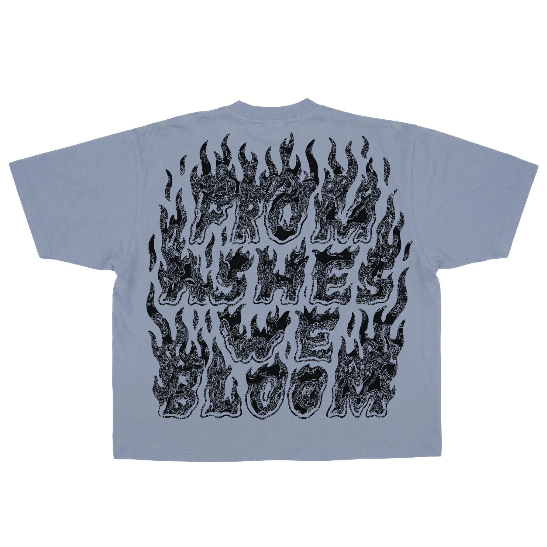 Ashes Flames