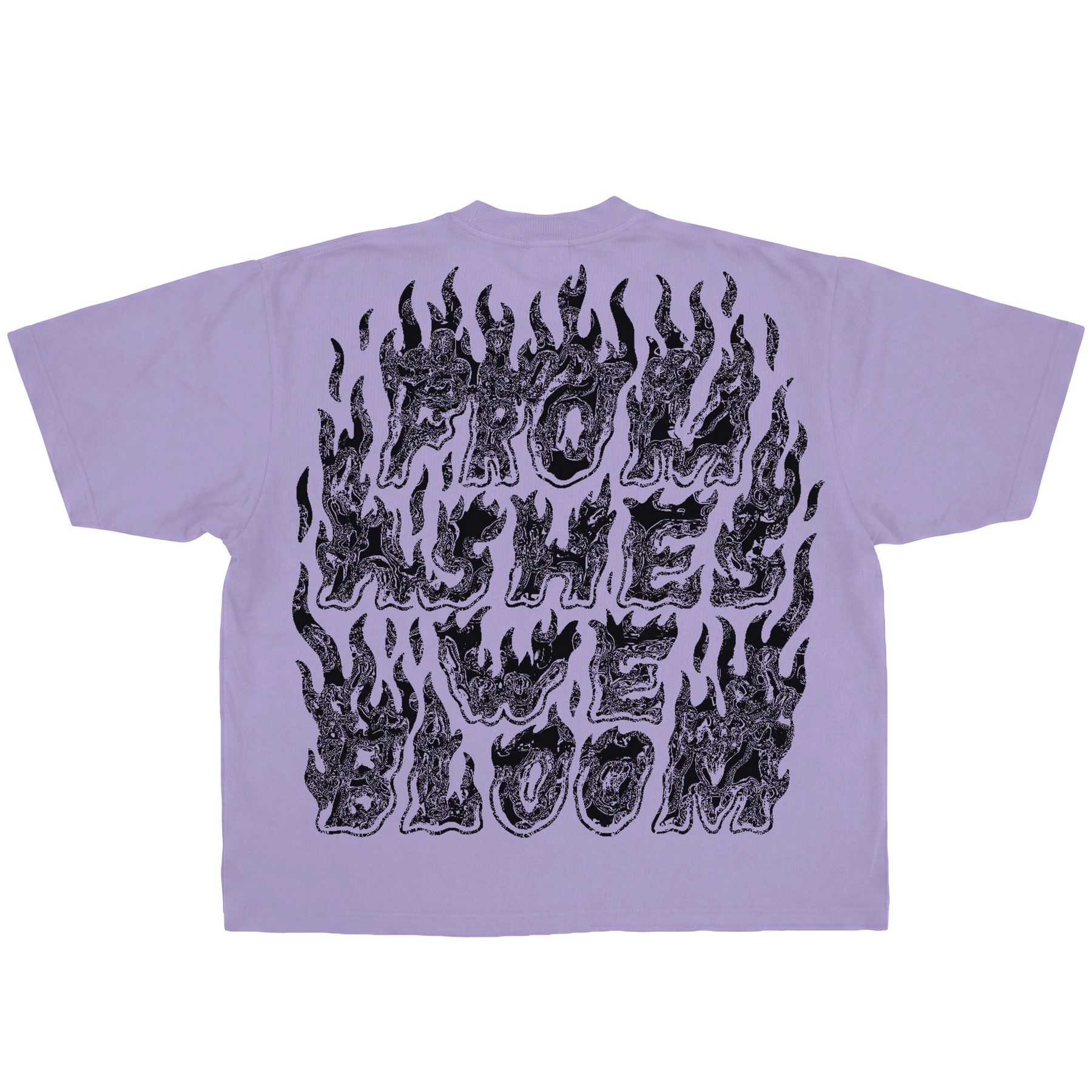 Ashes Flames