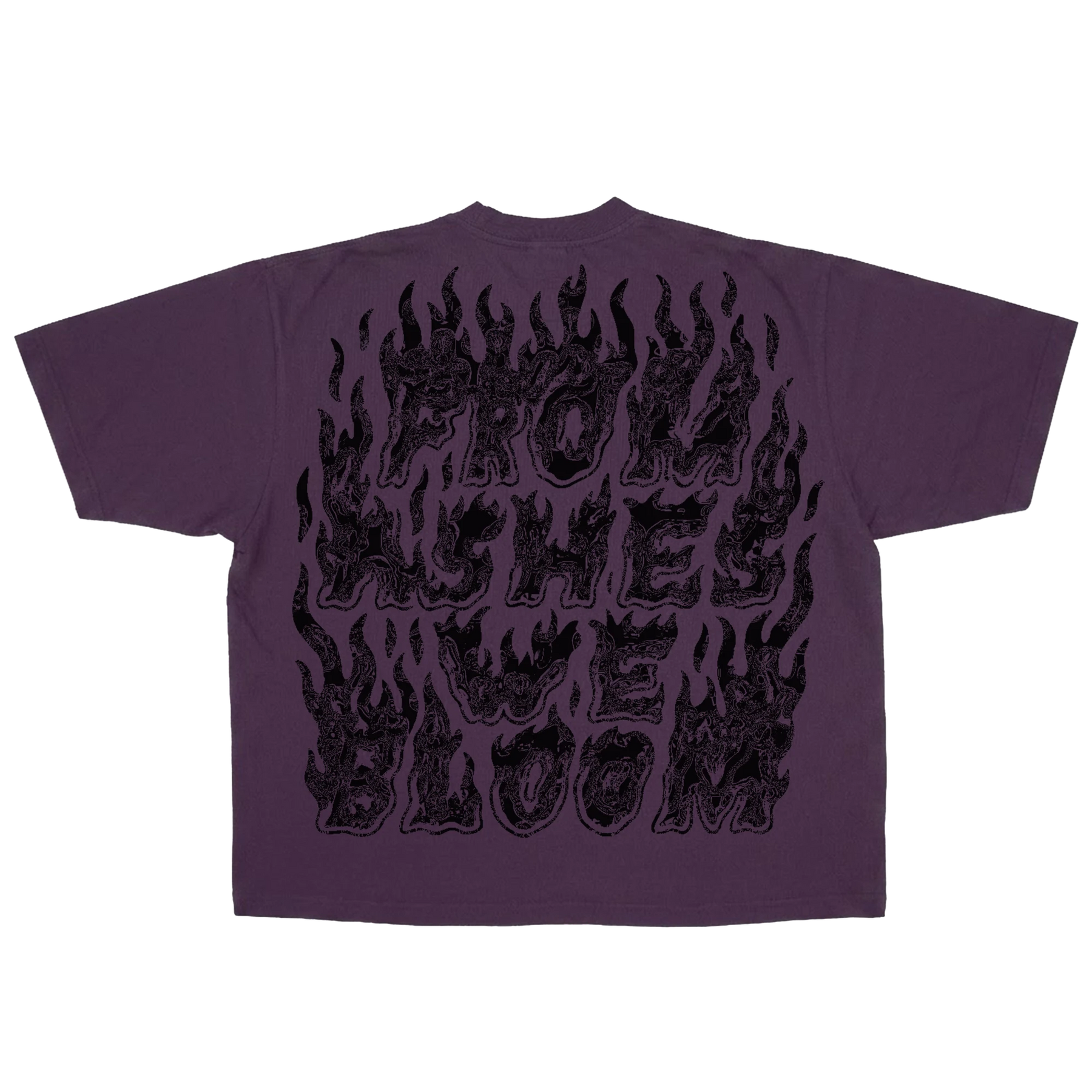 Ashes Flames