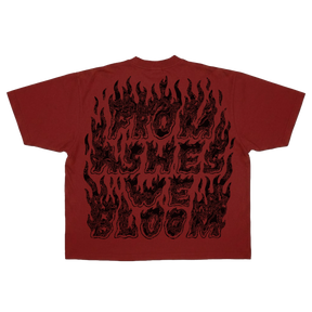 Ashes Flames