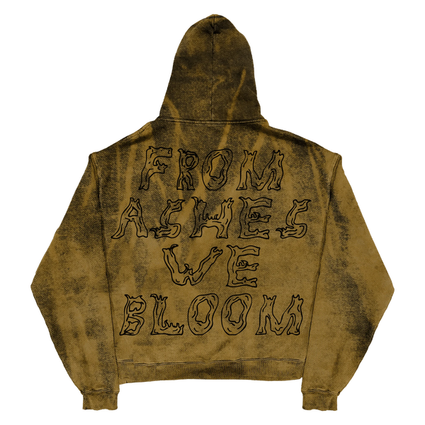 Ashes