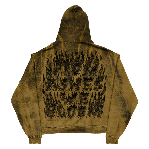 Ashes Flames