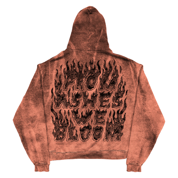 Ashes Flames