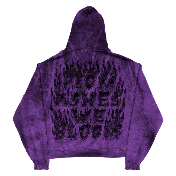 Ashes Flames