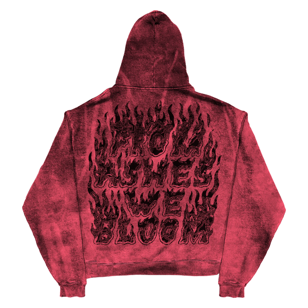 Ashes Flames