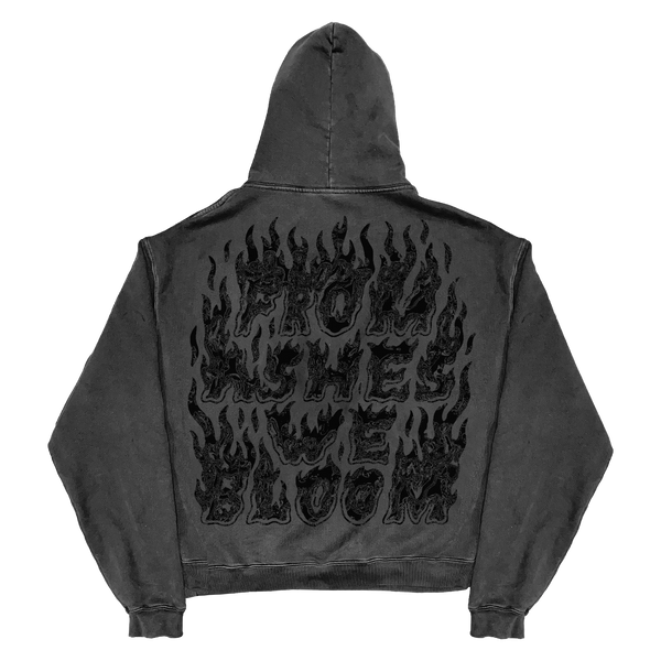 Ashes Flames